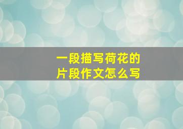 一段描写荷花的片段作文怎么写