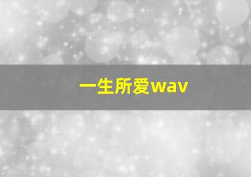 一生所爱wav