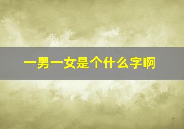 一男一女是个什么字啊