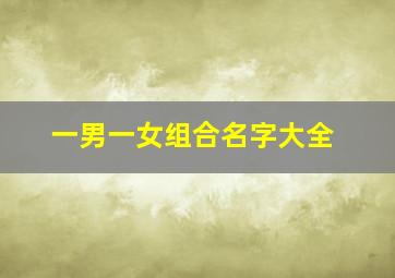 一男一女组合名字大全