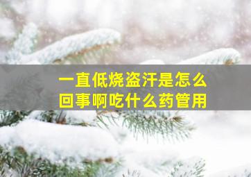 一直低烧盗汗是怎么回事啊吃什么药管用