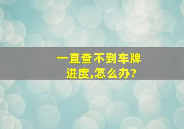 一直查不到车牌进度,怎么办?