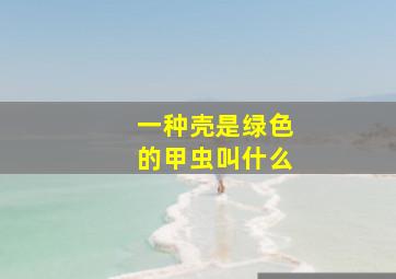 一种壳是绿色的甲虫叫什么