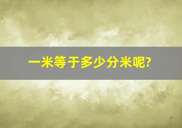 一米等于多少分米呢?