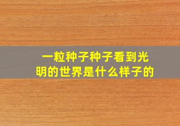 一粒种子种子看到光明的世界是什么样子的