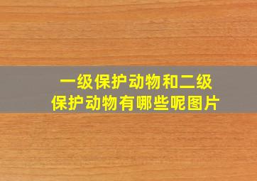 一级保护动物和二级保护动物有哪些呢图片