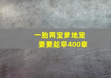 一胎两宝爹地宠妻要趁早400章