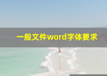 一般文件word字体要求