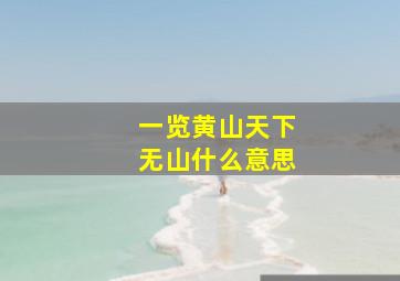 一览黄山天下无山什么意思