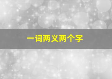 一词两义两个字