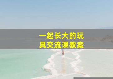 一起长大的玩具交流课教案