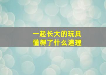 一起长大的玩具懂得了什么道理