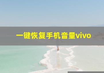 一键恢复手机音量vivo