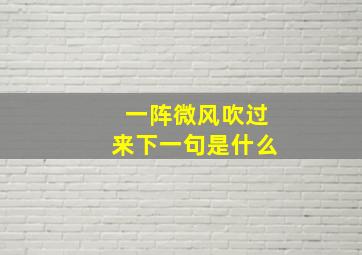 一阵微风吹过来下一句是什么