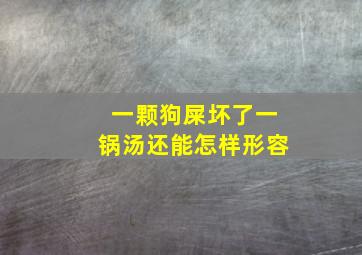 一颗狗屎坏了一锅汤还能怎样形容