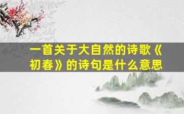 一首关于大自然的诗歌《初春》的诗句是什么意思