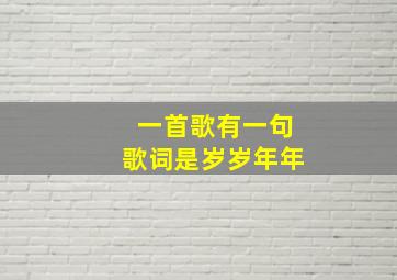 一首歌有一句歌词是岁岁年年