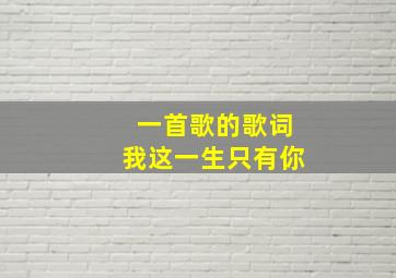 一首歌的歌词我这一生只有你