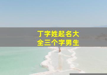 丁字姓起名大全三个字男生