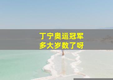 丁宁奥运冠军多大岁数了呀