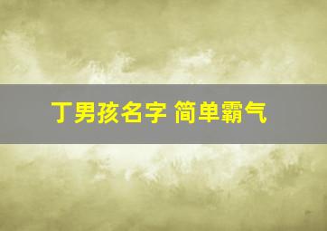 丁男孩名字 简单霸气