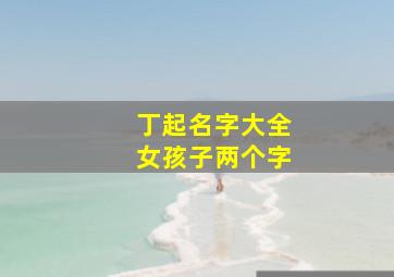 丁起名字大全女孩子两个字