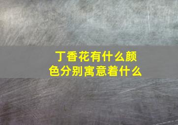 丁香花有什么颜色分别寓意着什么