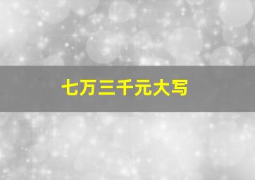 七万三千元大写