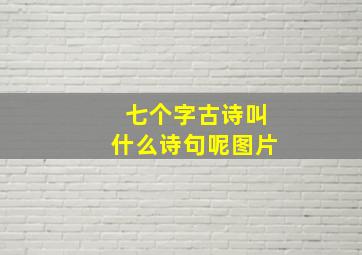 七个字古诗叫什么诗句呢图片