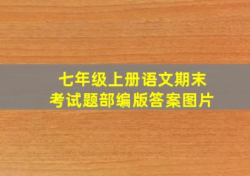 七年级上册语文期末考试题部编版答案图片