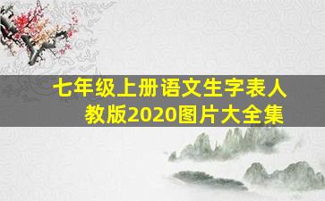 七年级上册语文生字表人教版2020图片大全集