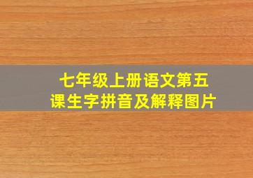 七年级上册语文第五课生字拼音及解释图片