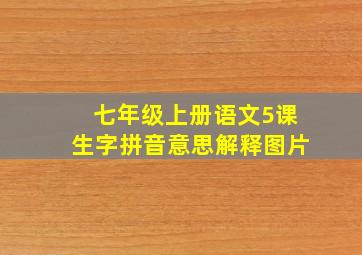 七年级上册语文5课生字拼音意思解释图片