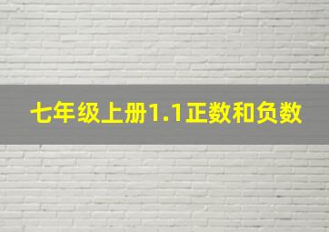 七年级上册1.1正数和负数