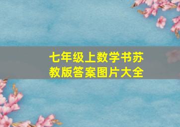 七年级上数学书苏教版答案图片大全