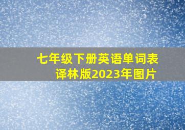 七年级下册英语单词表译林版2023年图片