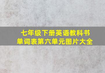 七年级下册英语教科书单词表第六单元图片大全