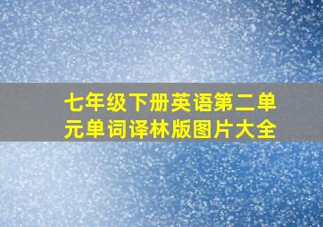 七年级下册英语第二单元单词译林版图片大全