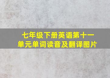 七年级下册英语第十一单元单词读音及翻译图片