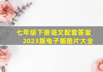 七年级下册语文配套答案2023版电子版图片大全