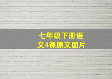 七年级下册语文4课原文图片