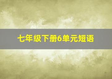 七年级下册6单元短语