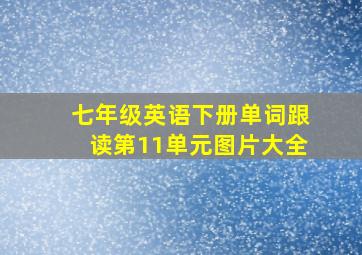 七年级英语下册单词跟读第11单元图片大全