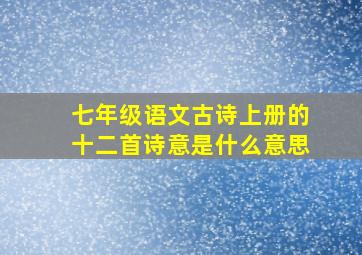 七年级语文古诗上册的十二首诗意是什么意思