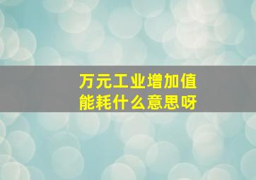 万元工业增加值能耗什么意思呀