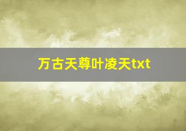 万古天尊叶凌天txt