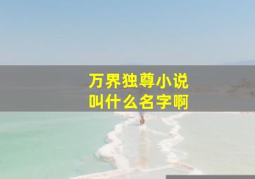 万界独尊小说叫什么名字啊