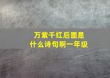 万紫千红后面是什么诗句啊一年级