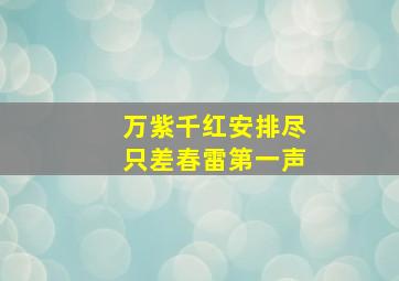 万紫千红安排尽只差春雷第一声