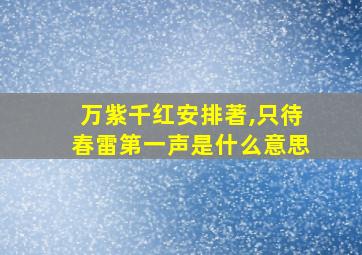 万紫千红安排著,只待春雷第一声是什么意思